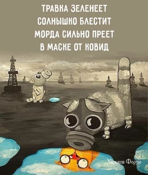 249889f91732963a.webp