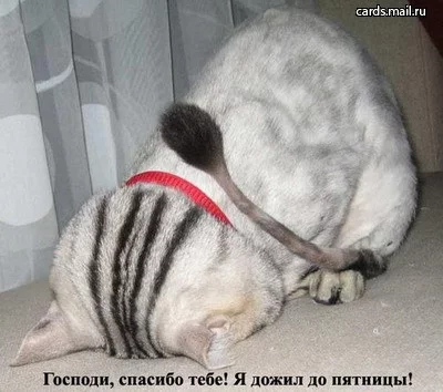 24994506.webp