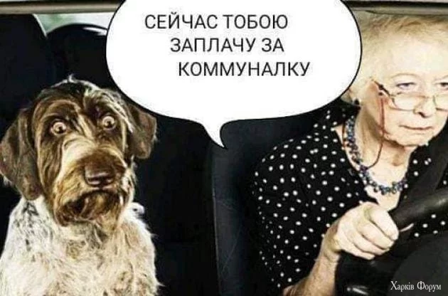 24_main-v1588545473.jpg