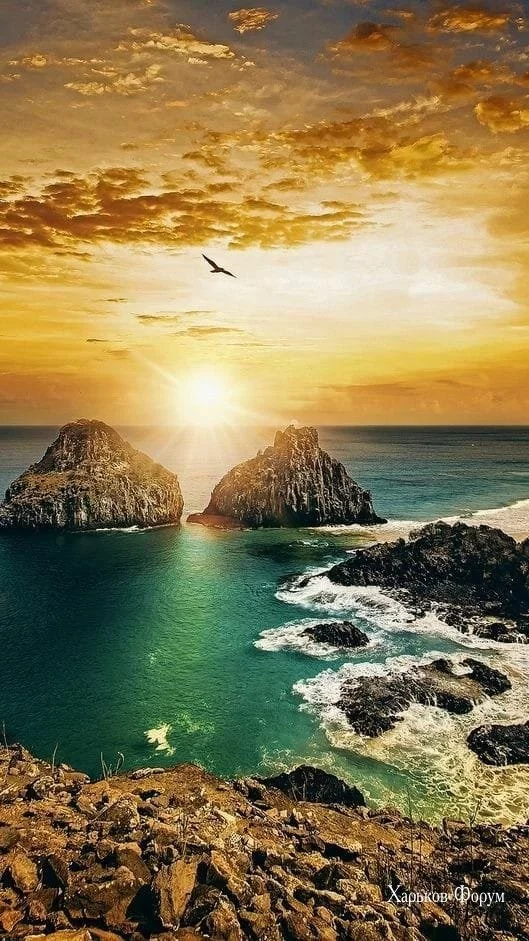 24a03523b3c06b69c50.webp