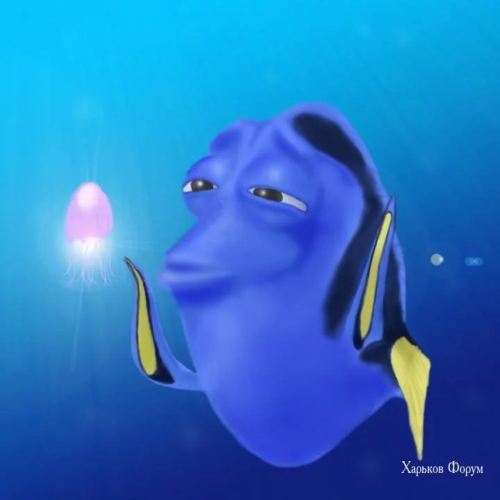 24a29efb76009b75.webp