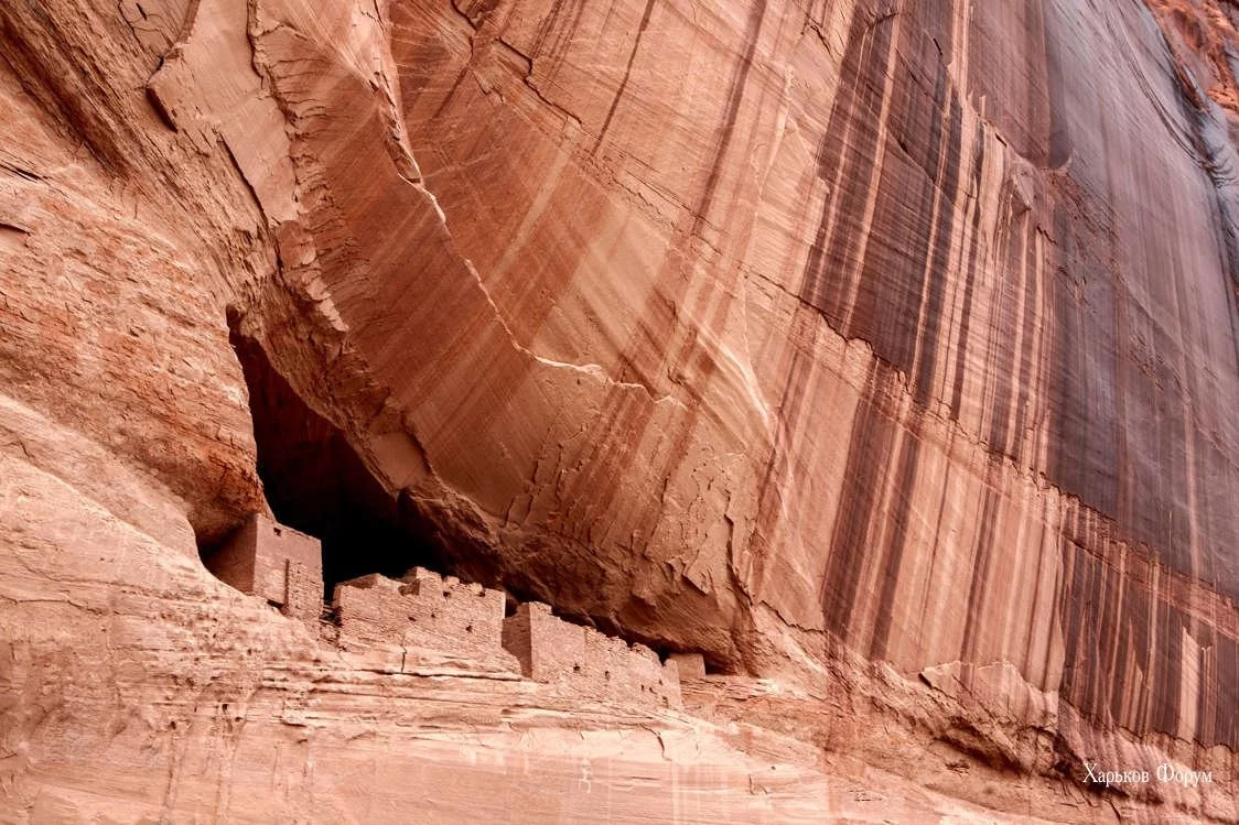 24a9f10981ed86951.webp