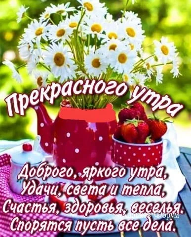24ac56e6c7490caa.webp