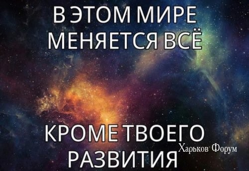 24bcc74429ff7dd65a05.jpg