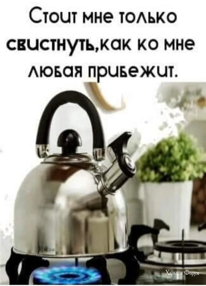 24e5173d635f3d82179f.webp