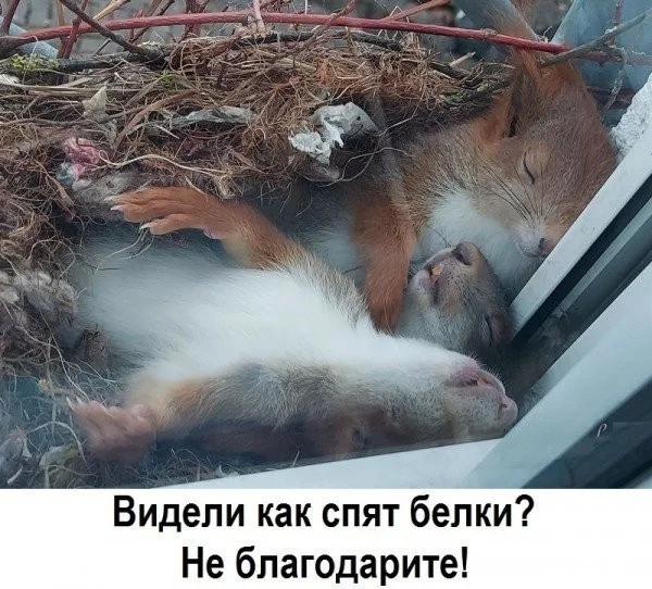 24f04efcfc85b8fa1952a5.webp