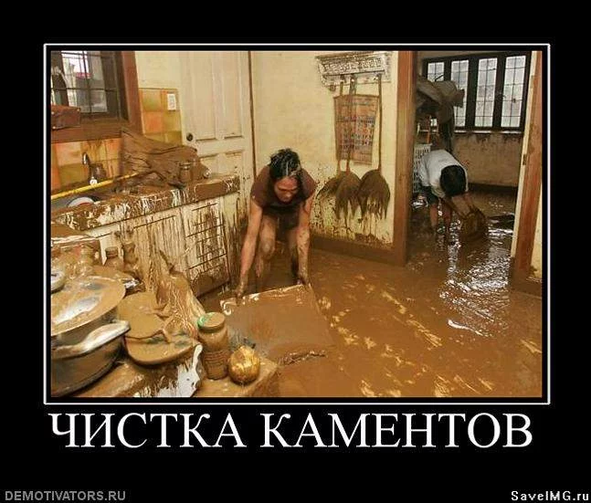 24f0fb29895c8083e966d9e483697468.webp