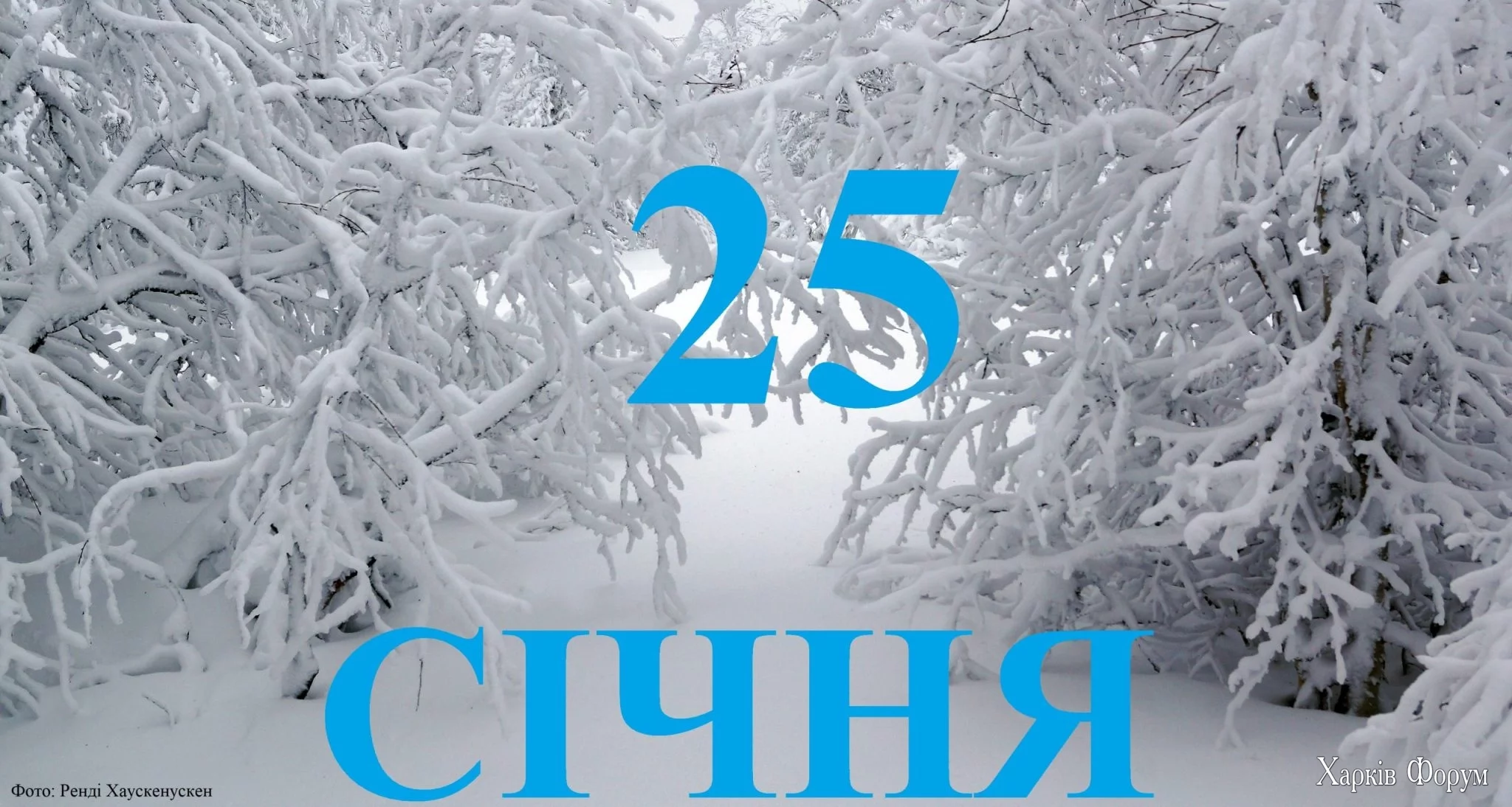 25-SICHNYA-scaled-2048x1094.webp