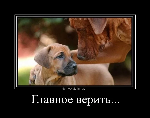 2501122052556040.webp