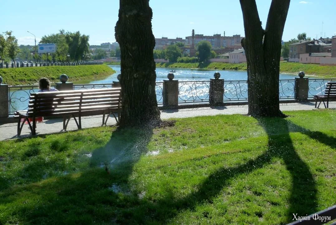 2503.webp