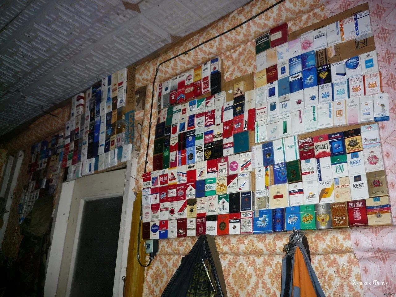 250386aba3a046fb2329f67.webp