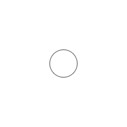 250px-Ba-Gua_animated.gif