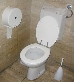 250px-Toilet_with_flush_water_tank.webp