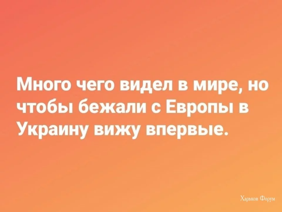 251105d2d7f3b39bffb0c5b2.webp