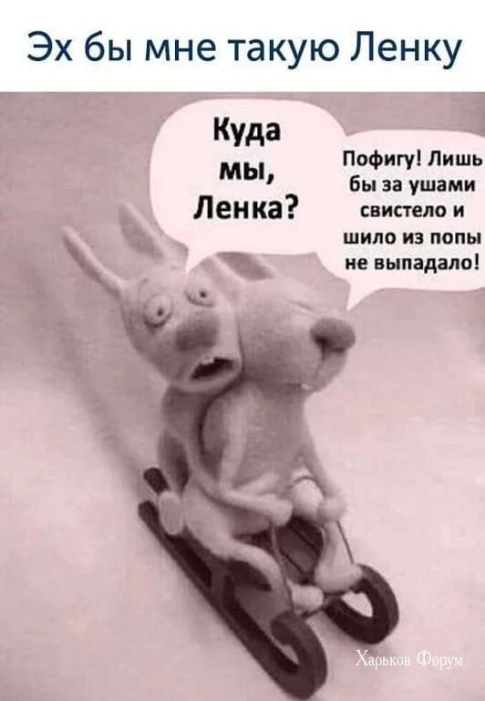 251d155b62adbed11552.webp