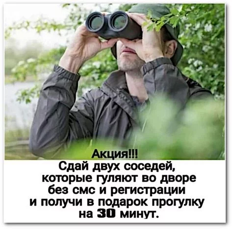 25316a4c61c52a604b75b92c7264fcd4.webp