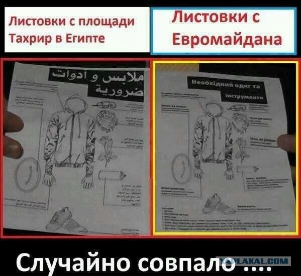 2537100.webp