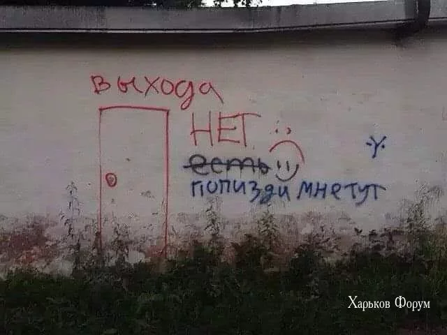 2540b077472b9170.webp