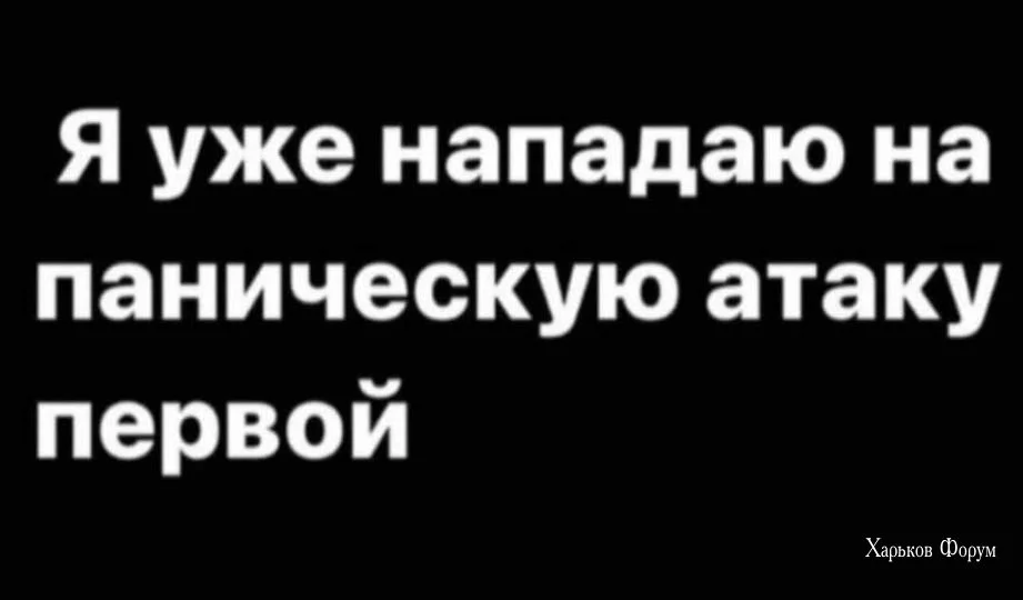 254692c756b367b49a9c.webp