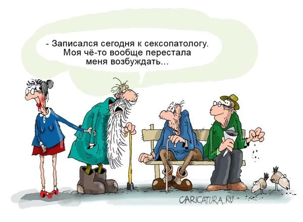 2550.webp