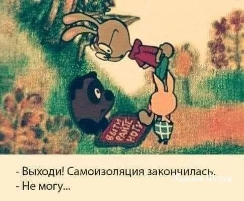 25507b79aeeda1502f69f3.webp