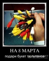 25679811_m.webp