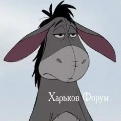 2568a56809b8f7afc166a65.webp