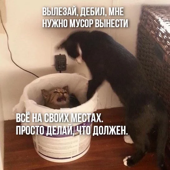 257019060-374748.webp