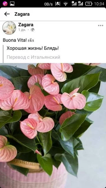 257124545-265672585385740-6672954401780138699-n.webp