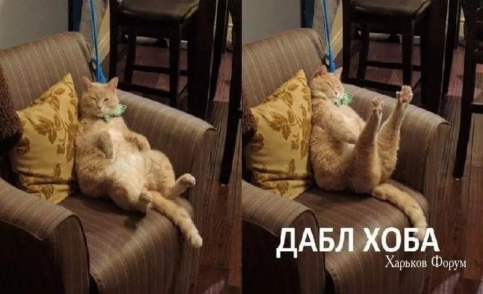2579c2b0024bc95d970.webp