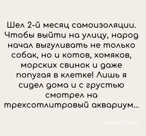 257ee5fbcbb6469547.webp