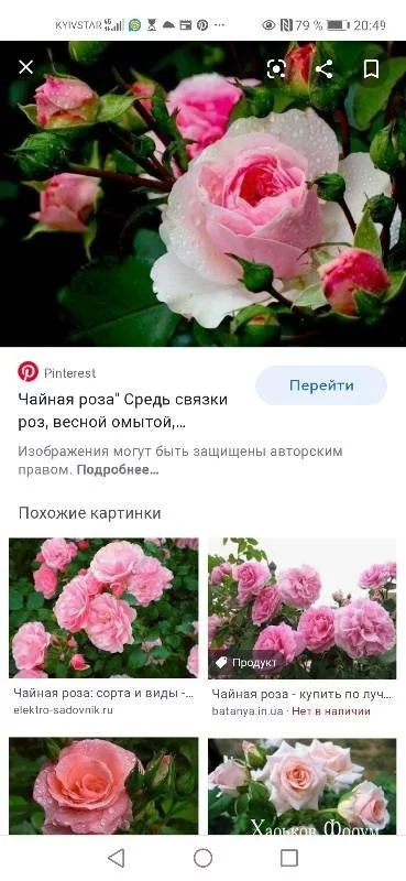 258571c458a15e274a.webp