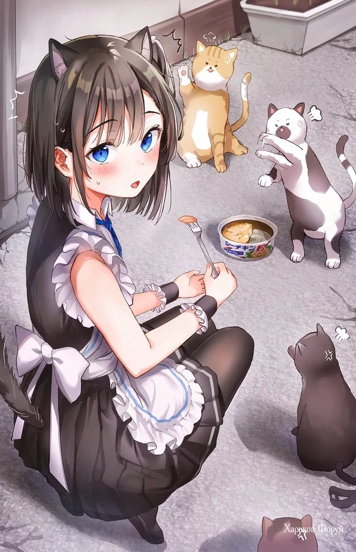 258c9fe8852fc1d3a876181.webp