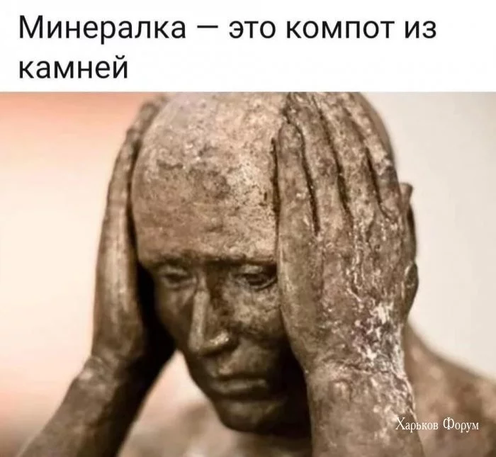259bebbd54a21383ffff.webp