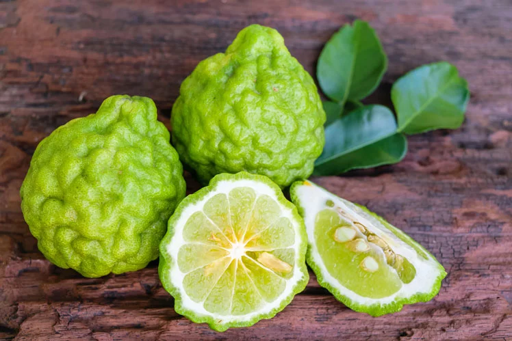 25_2_bergamot-1.webp