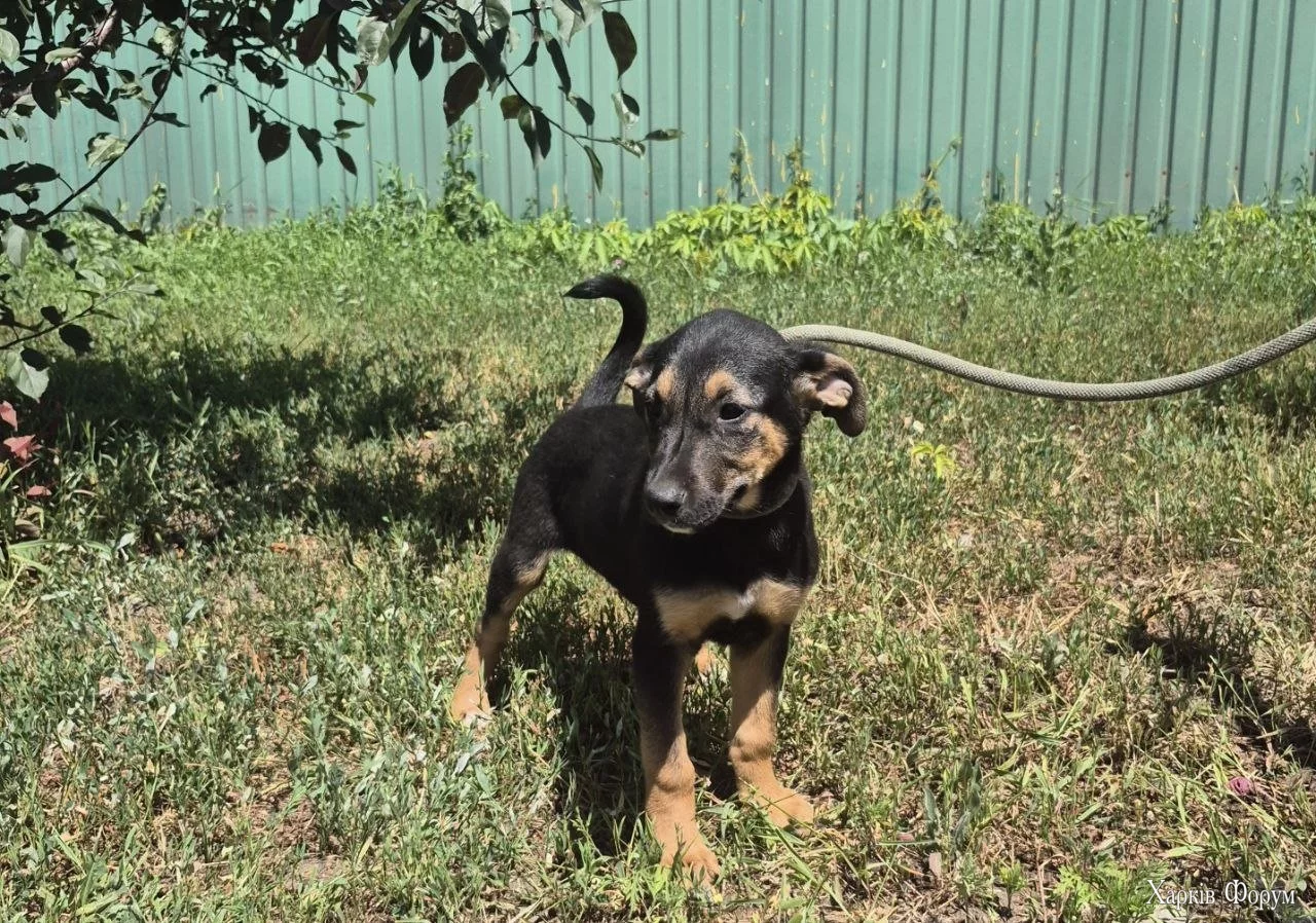 25_685d0b0782ac8.webp