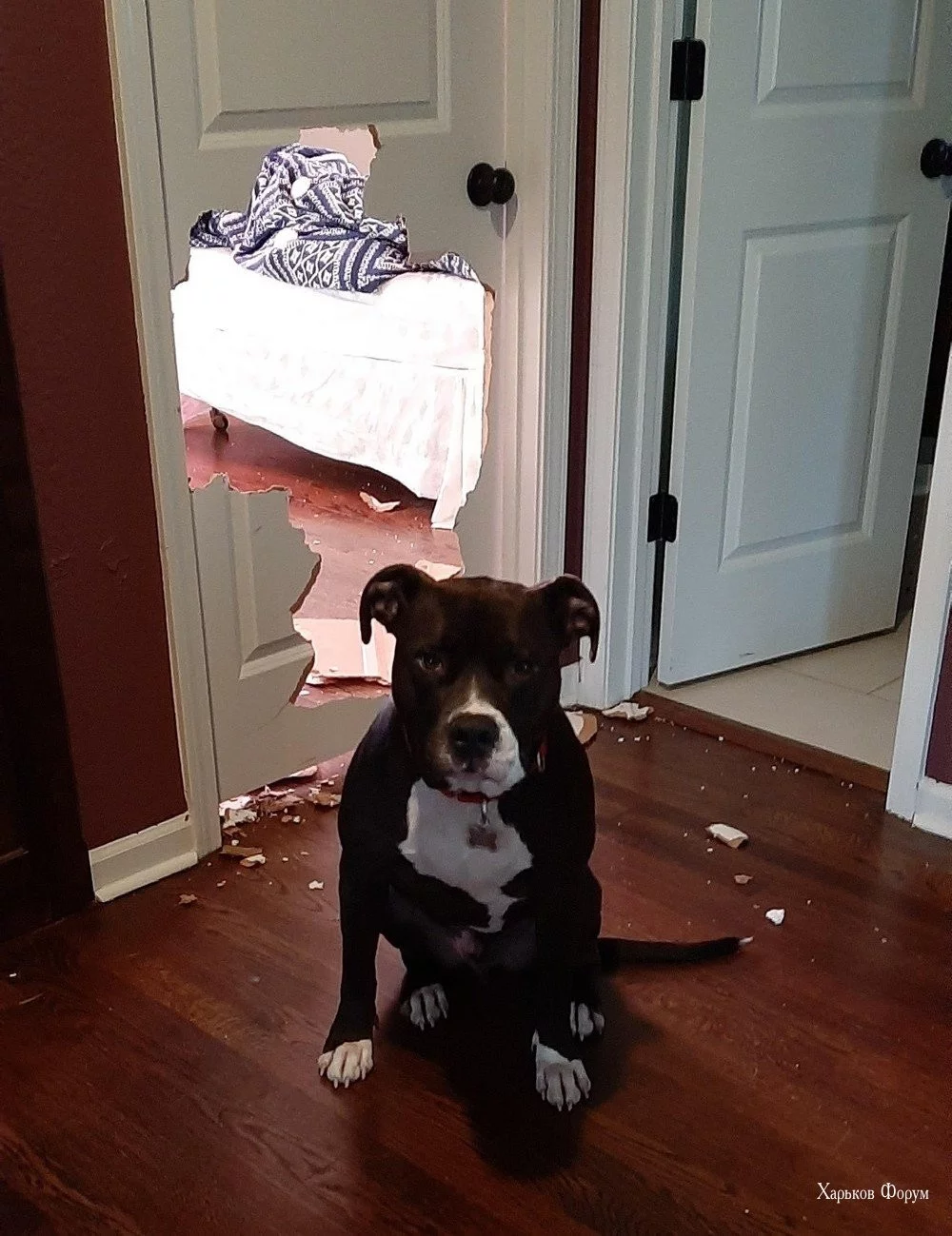 25b602e340db23157341.webp