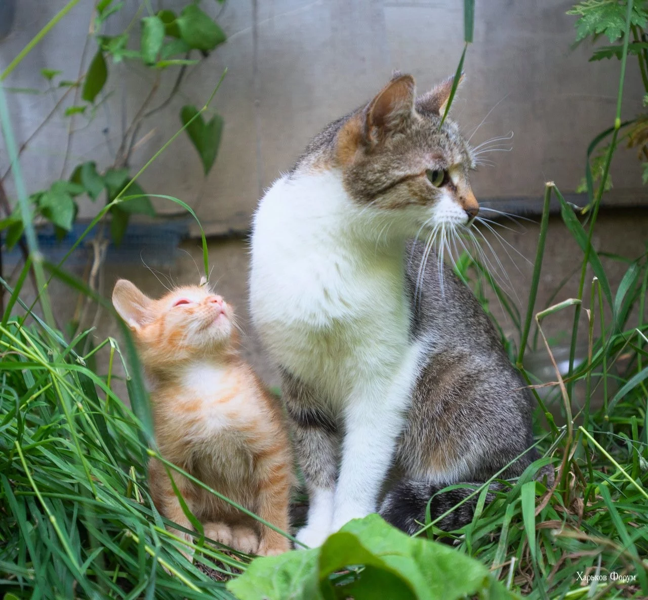 25c871df4fc92b7f7.webp