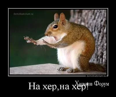 25d077292ac9f08d61f9cf3.webp