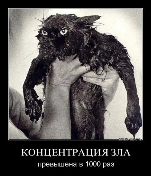25d5d479ef84bd93559e5a6834e95087.webp