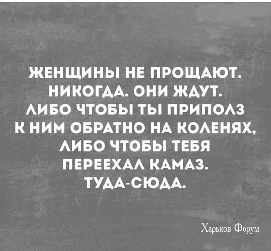 25f595e317cdf782ca03.webp