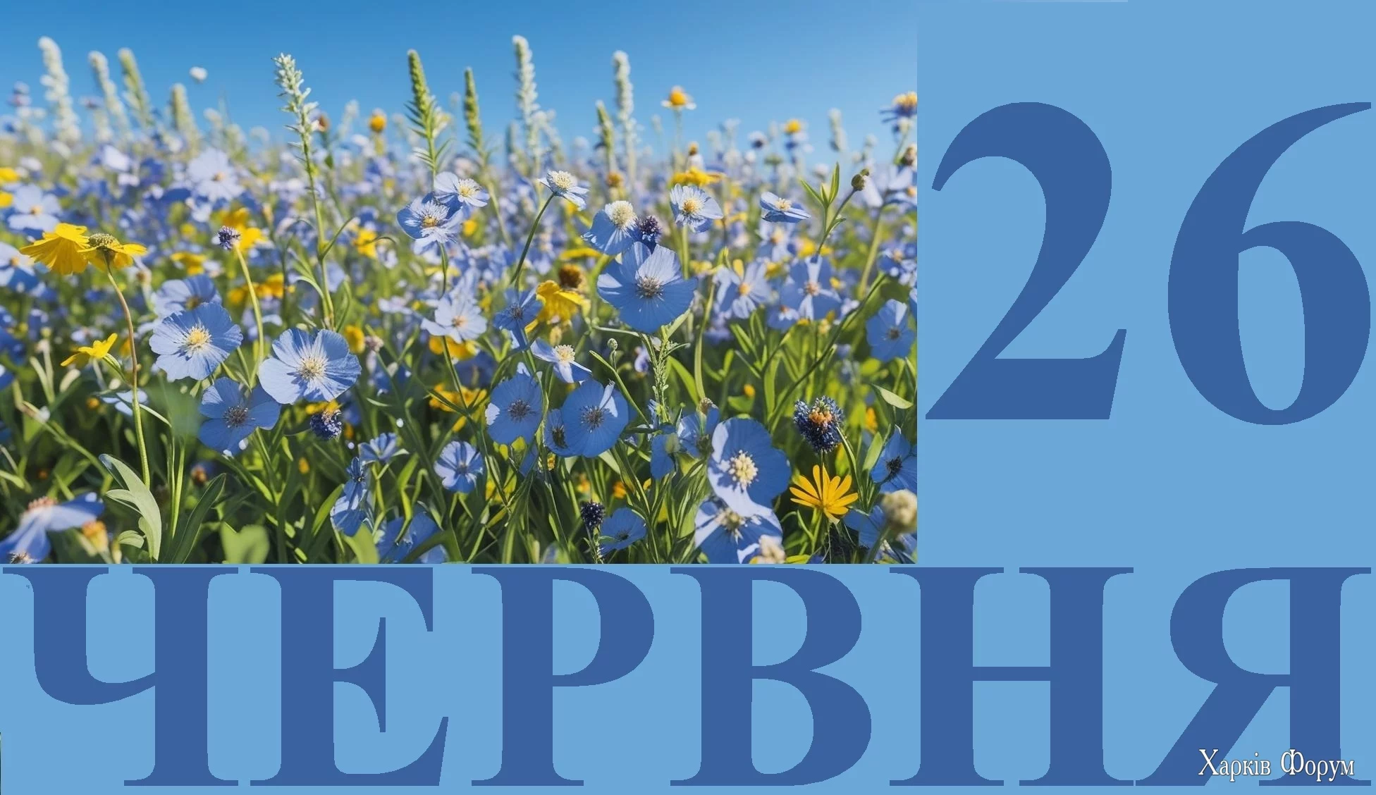 26-CHERVNYA.webp