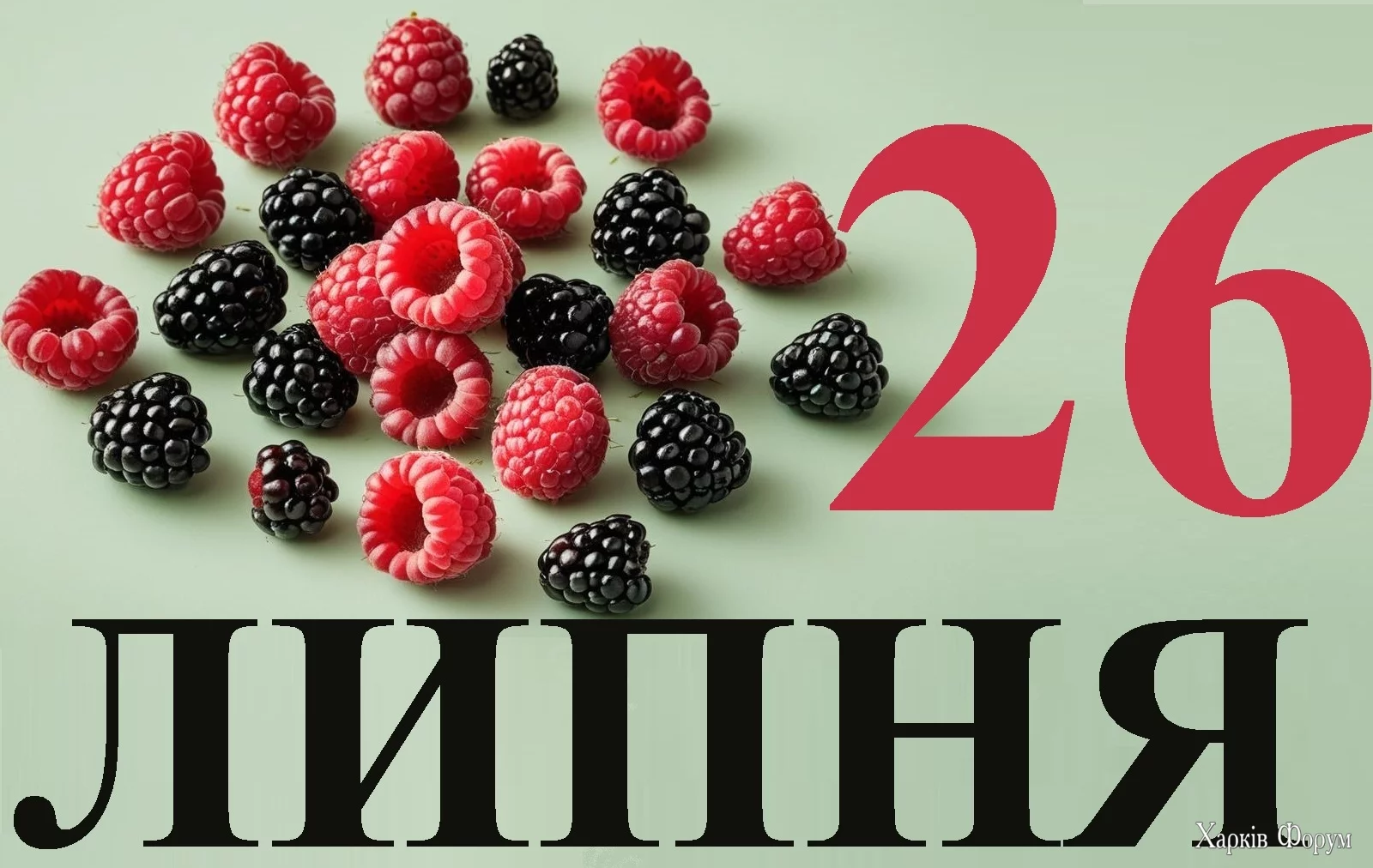26-LIPNYA.webp