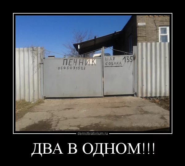 2602131616392213.webp