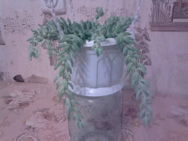 2602977_m.webp