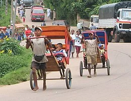260px-Pousse-pousse_Madagascar.webp