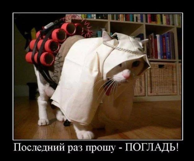 261611_614486.webp