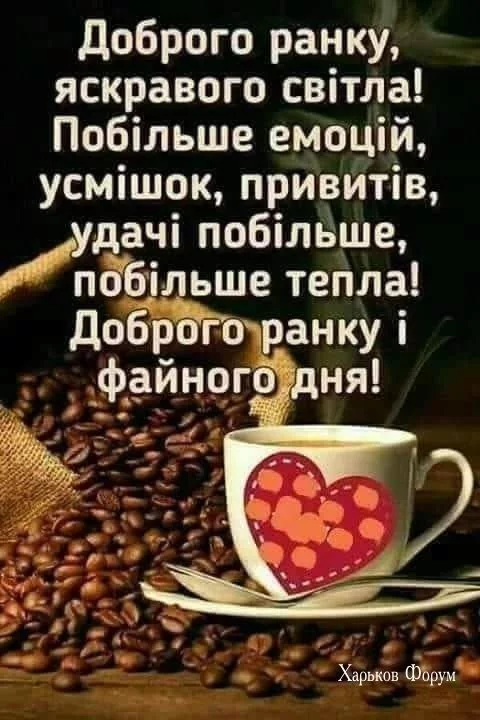 261706a9451553bc4.webp