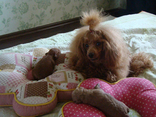 2625884_m.webp