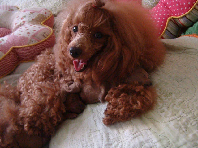 2625890_m.webp
